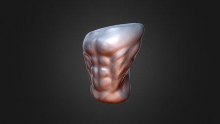 Male Torso | Modelling Practice 3D Model