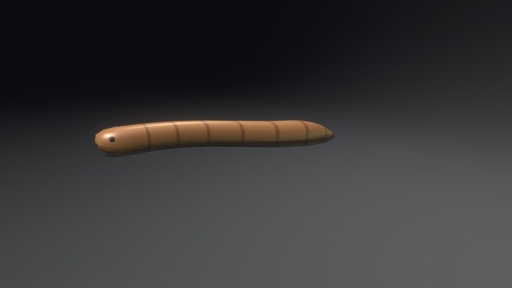 the worm !!! 3D Model