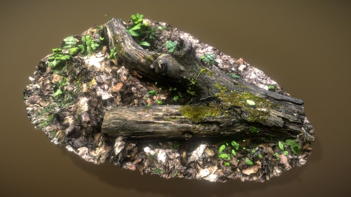 Forest Log 3D Model