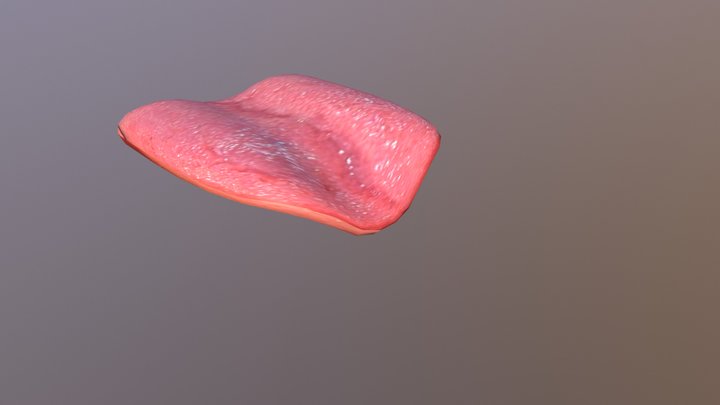 Low Poly Tongue (Bent) 3D Model
