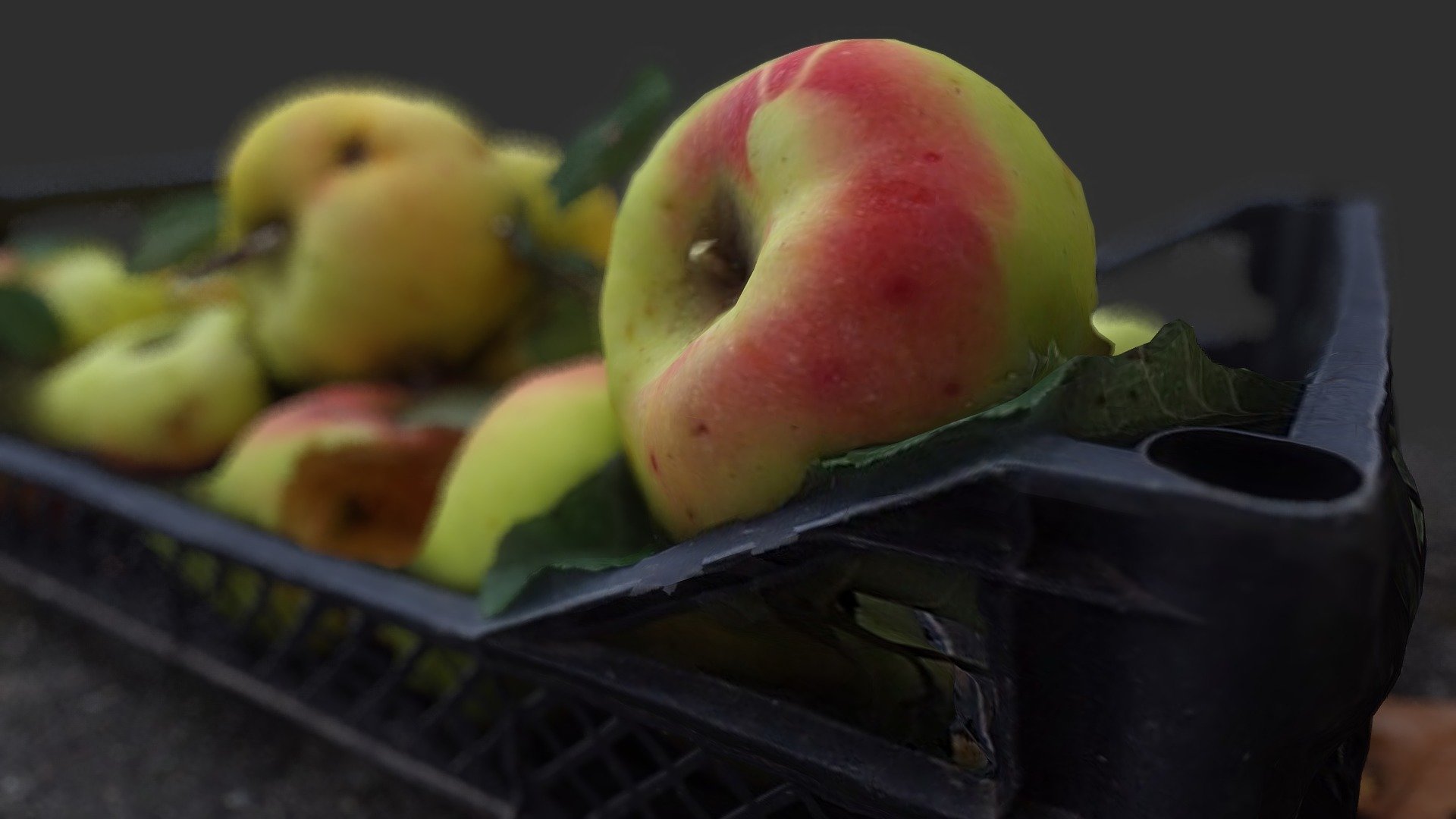 Apples