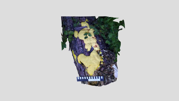Dog Vomit SM Kiri Early – Modello 3D gratuito STL