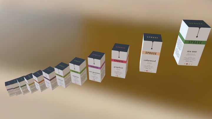 20170201_5 Set 3D Model