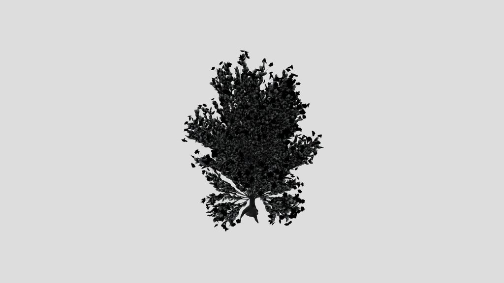 Tree Whiterock