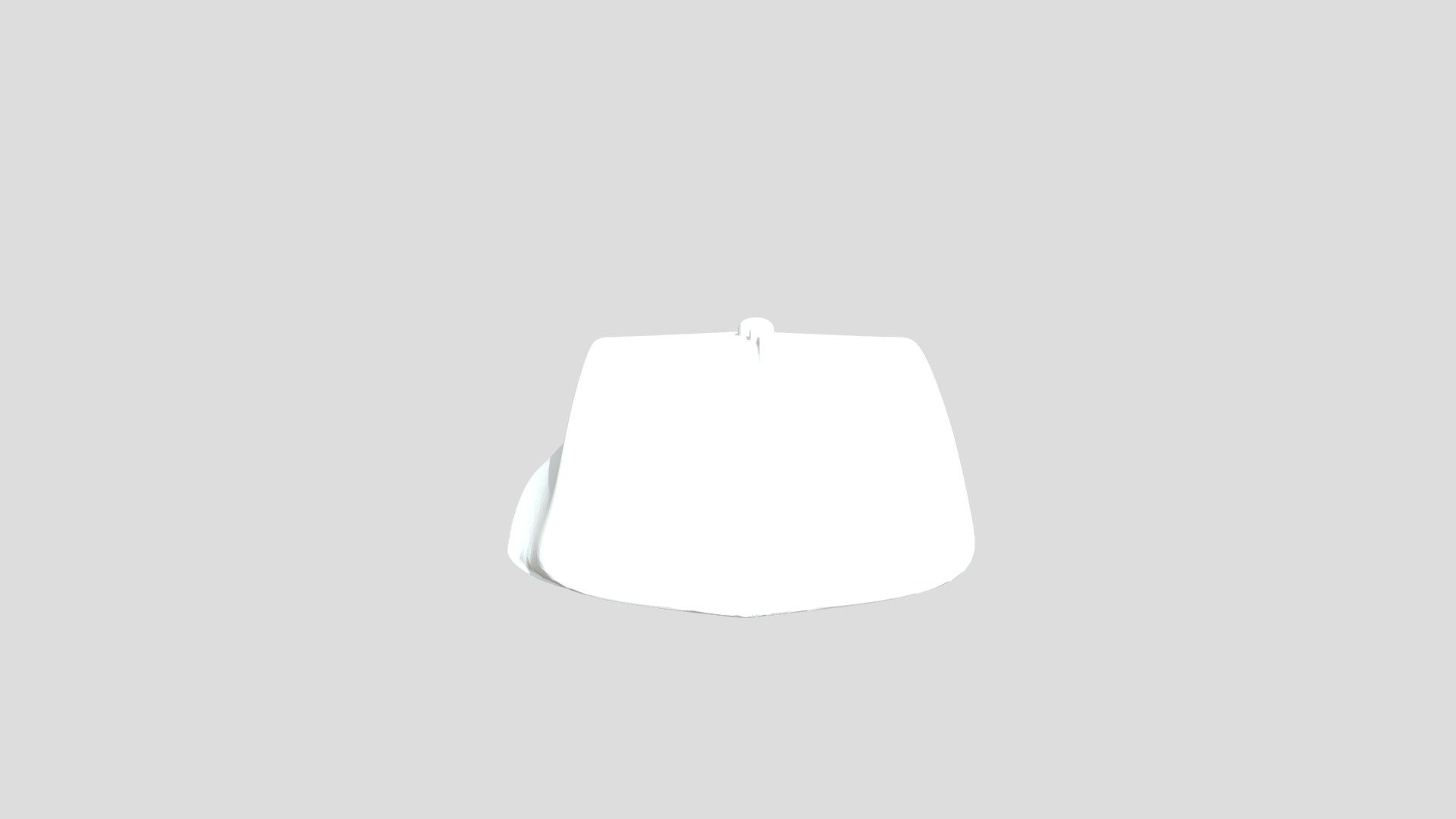Computer Mouse