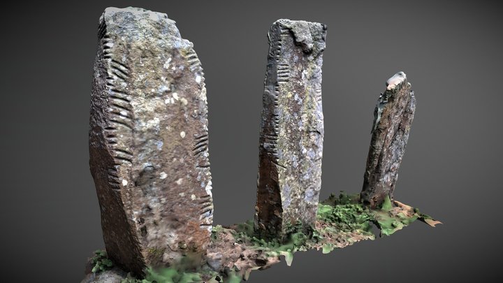 Drumlohan Souterrain & Ogham Stones 3D Model
