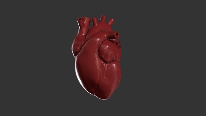 High-Poly Maped Realistic Heart 3D Model