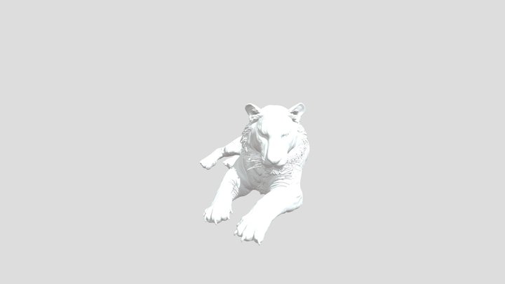 Majestic Tiger in the Wild