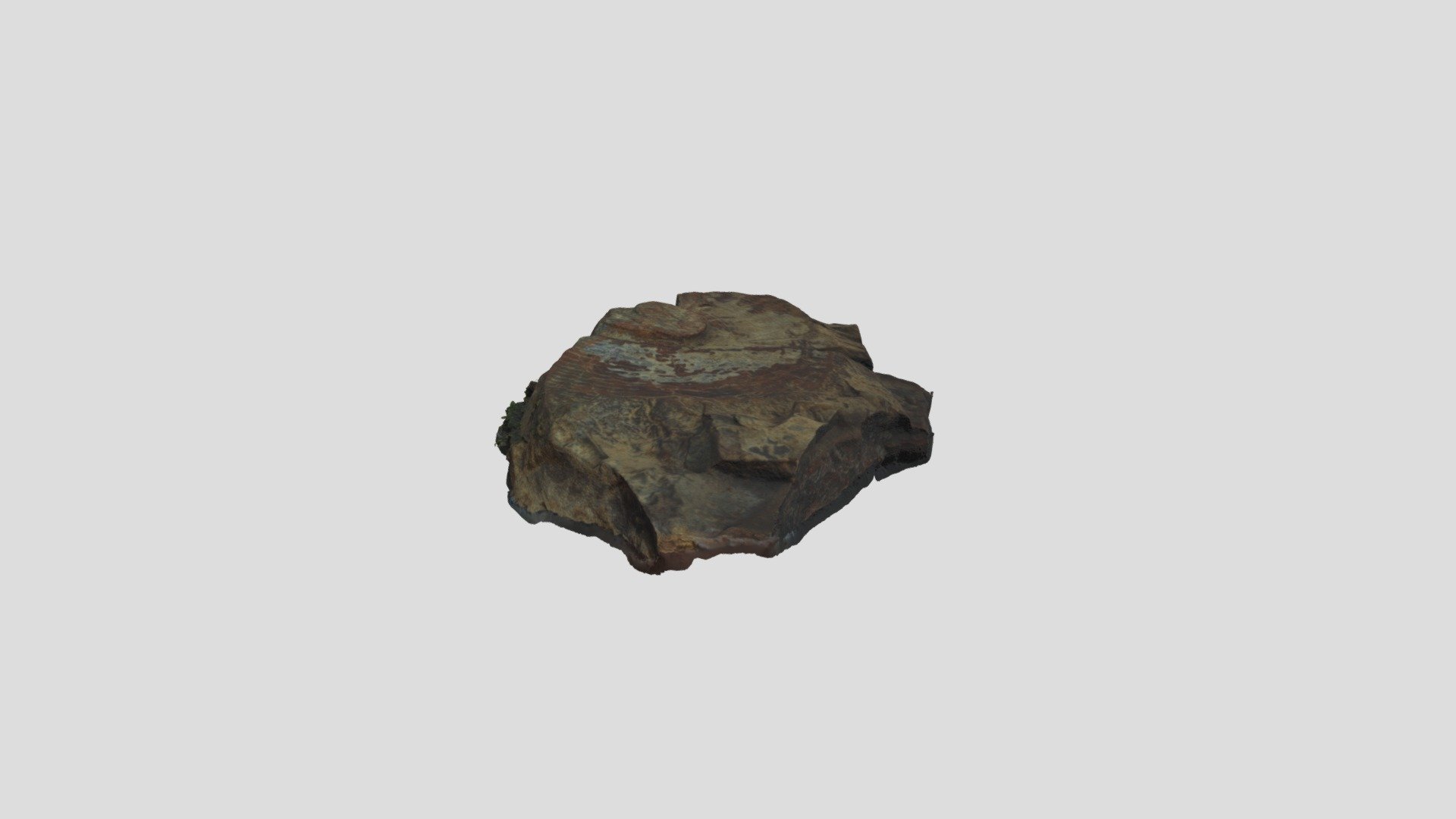 Amaltheus