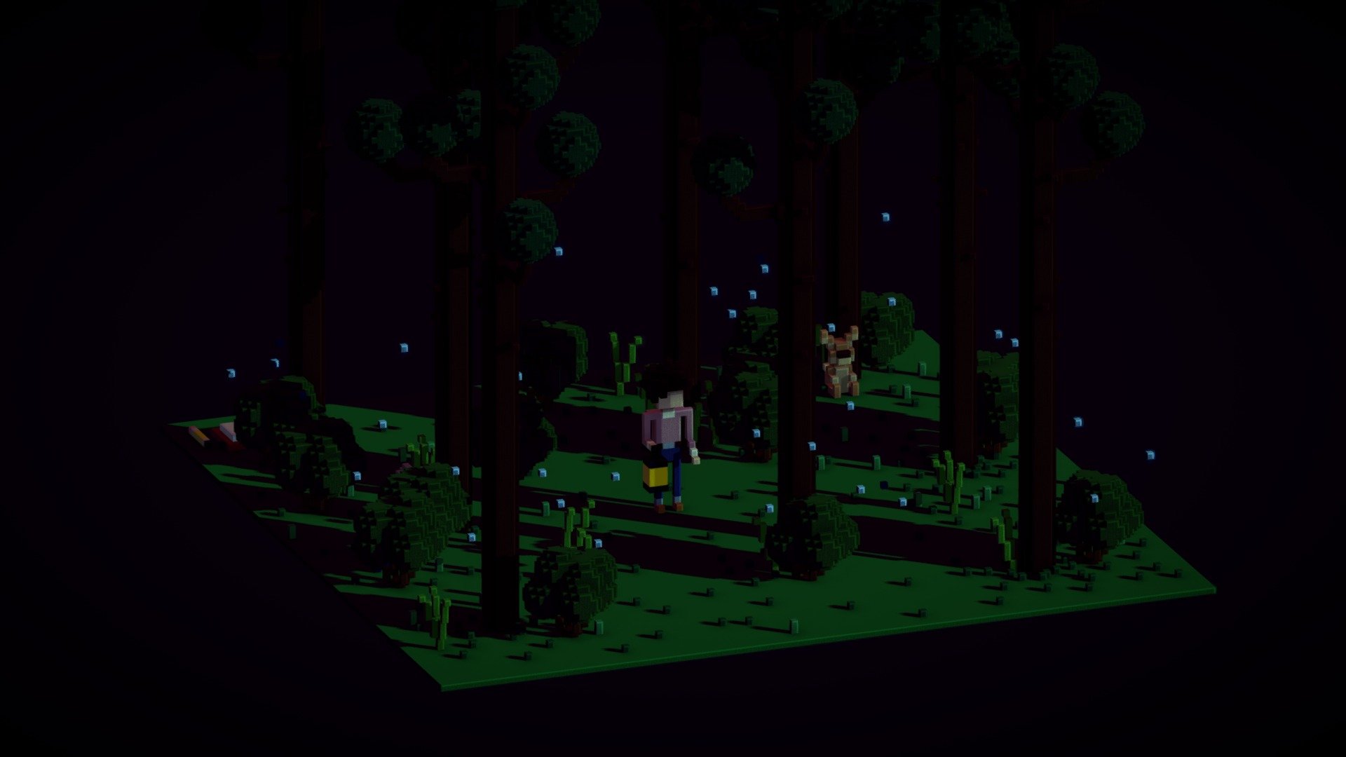 Forest Night