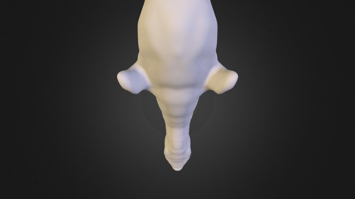 Skin Z Sphere 2 3D Model