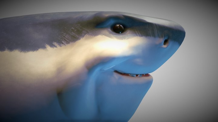 Smiley Shark 3D Model