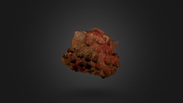 Wasp Nest Test 3D Model