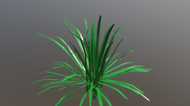 Seagrass 3D Model