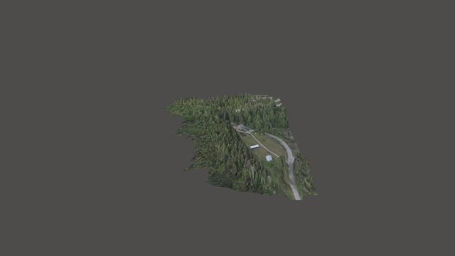 3D survey may302016160436 3D Model