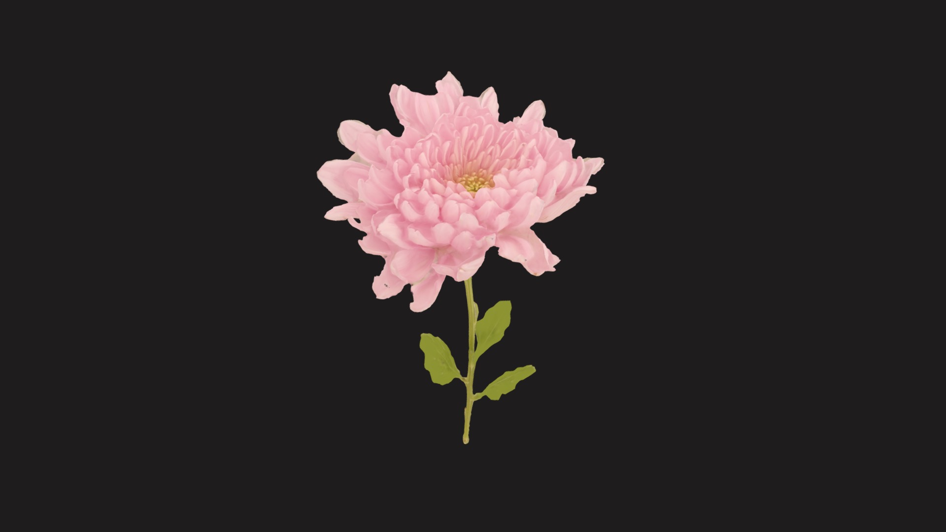 3D model Fw30 – Pink Flower - This is a 3D model of the Fw30 - Pink Flower. The 3D model is about a pink flower with green leaves.