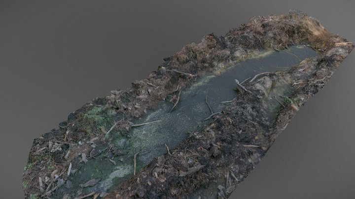 Forest mud puddle – Free 3D Model STL