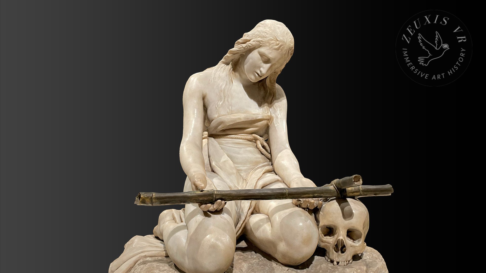 metascan_20240216-1228 - 3D model by ZeuxisVR [6a9704e] - Sketchfab