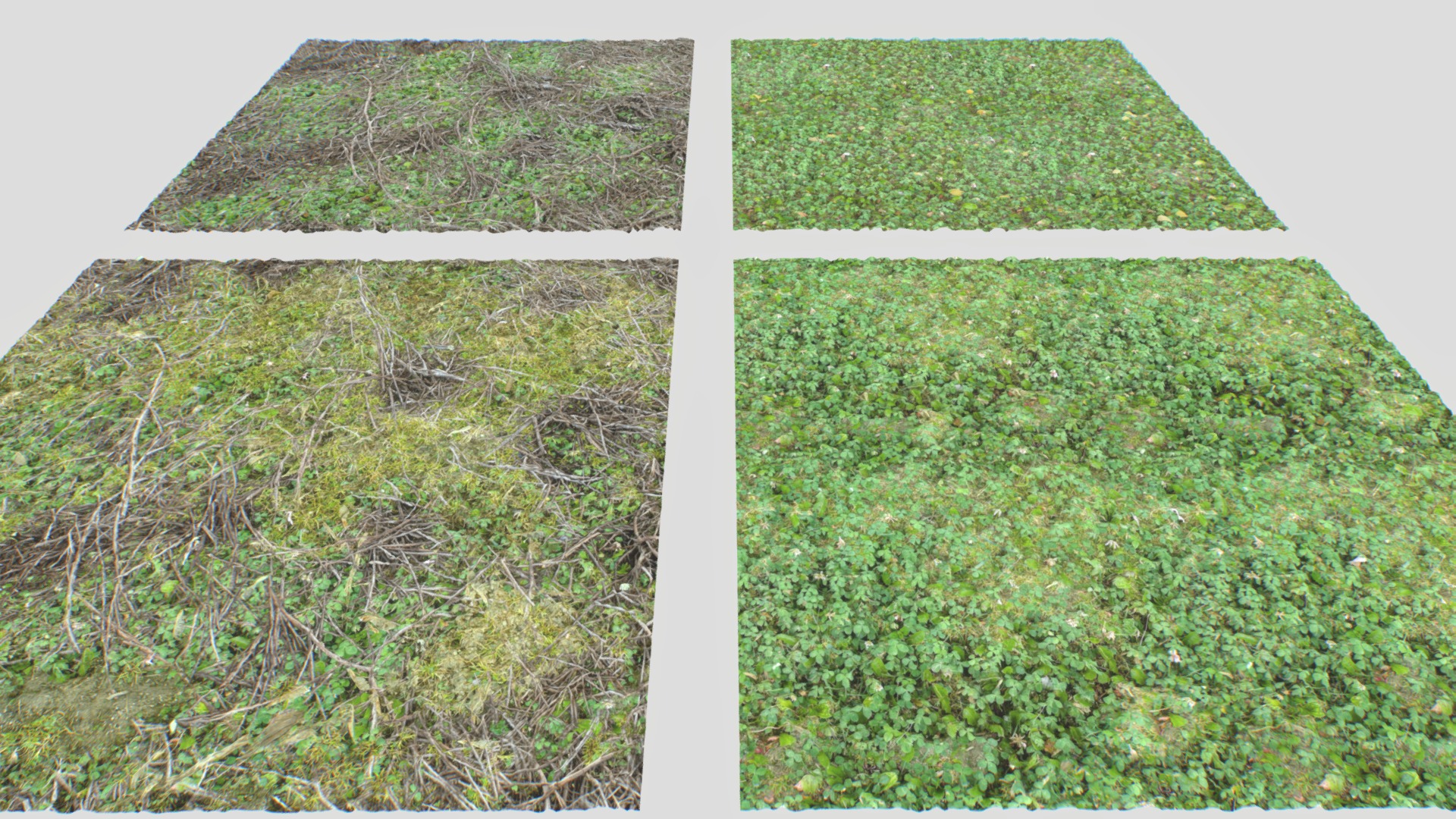 3D model Forest ground PBR Pack 13 Textures - This is a 3D model of the Forest ground PBR Pack 13 Textures. The 3D model is about a field of green grass.