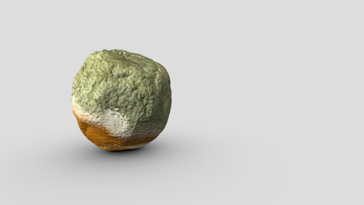 Orange Moldy LP 3D Model