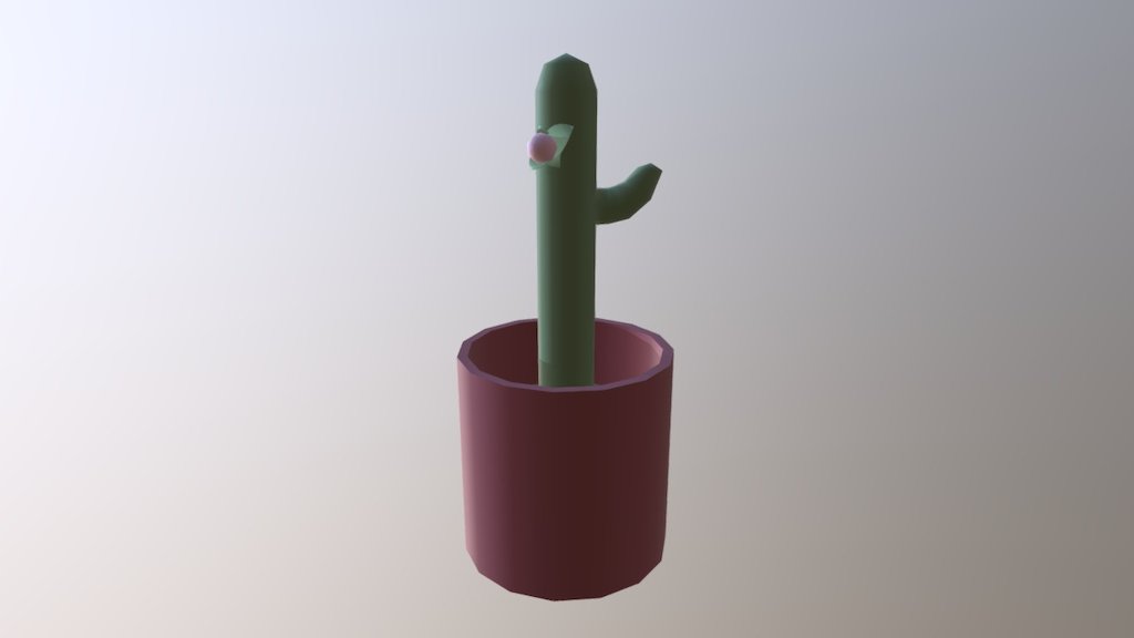 Cactus