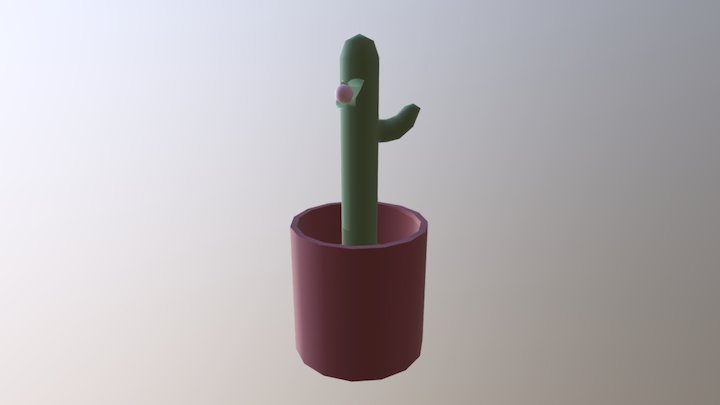 Cactus 3D Model