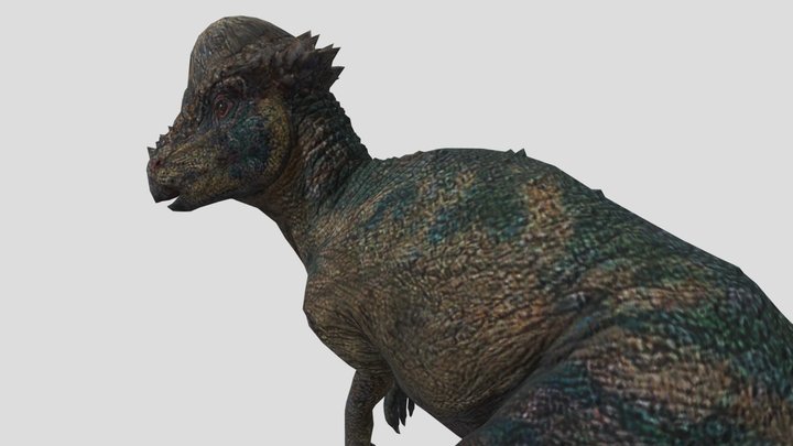 JWA Pachycephalosaurus