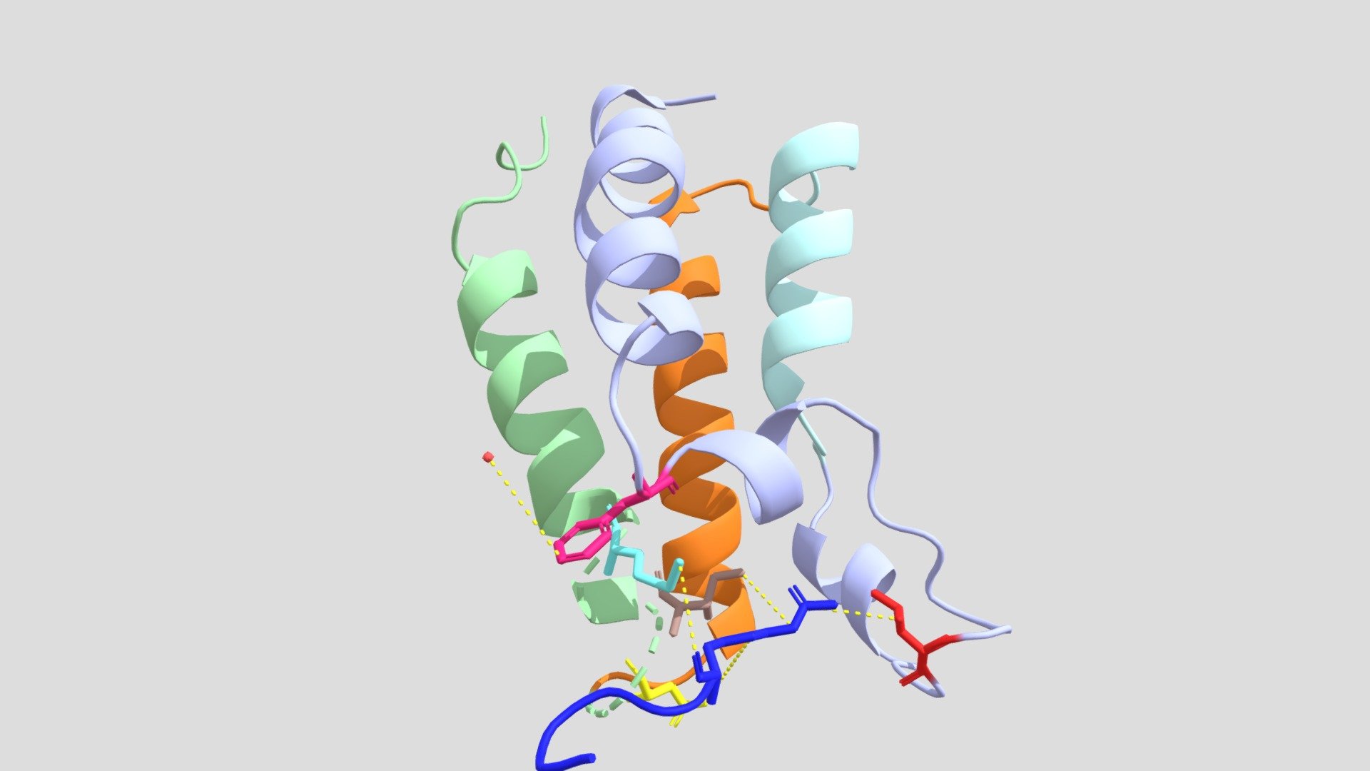 Brdt Interaction With Histone 4 - 3D model by rand0323 [6aa0e3e ...