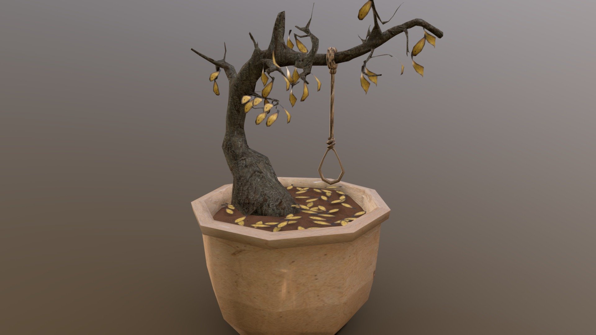 Hersh_Lauren_wk8_plant