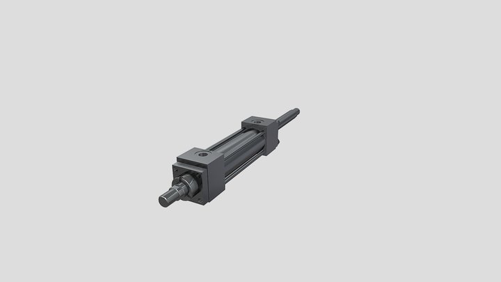 Hydraulic cylinder - mounting type X 3D Model