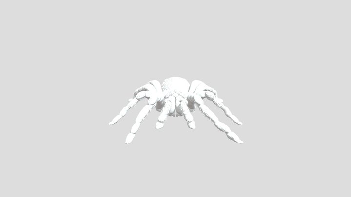 Tarantula 3D Model