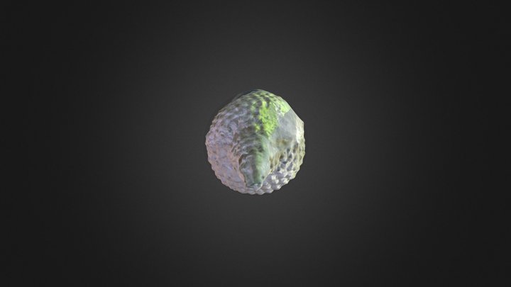 590310255 3D Model