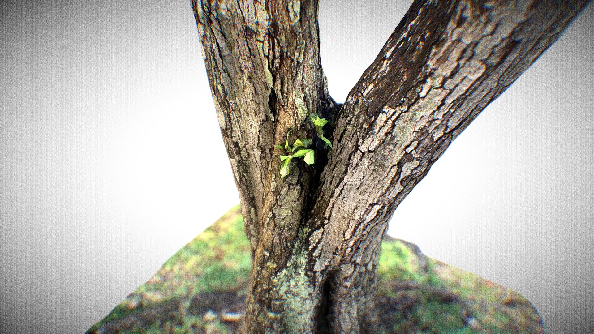 A new hope - Photogrammetry