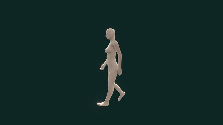 NAC 2 3D Model