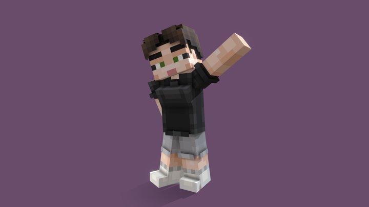 Ave skin 3D Model
