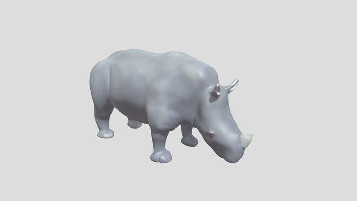 Rhinoceros (Rhinocerotidae) 3D Model