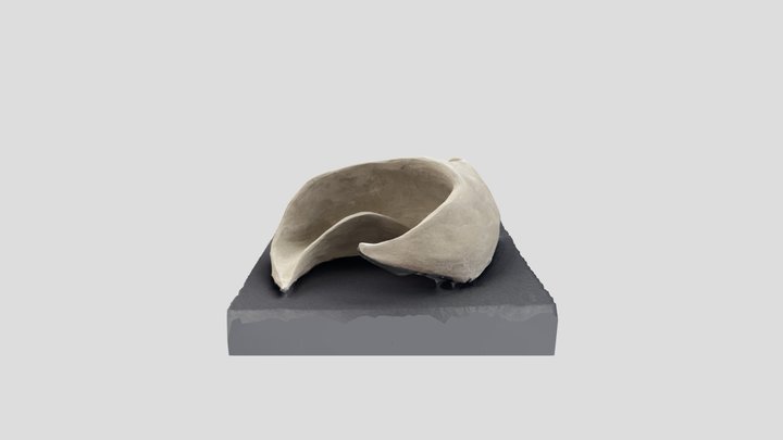 Sculpt02 3D Model