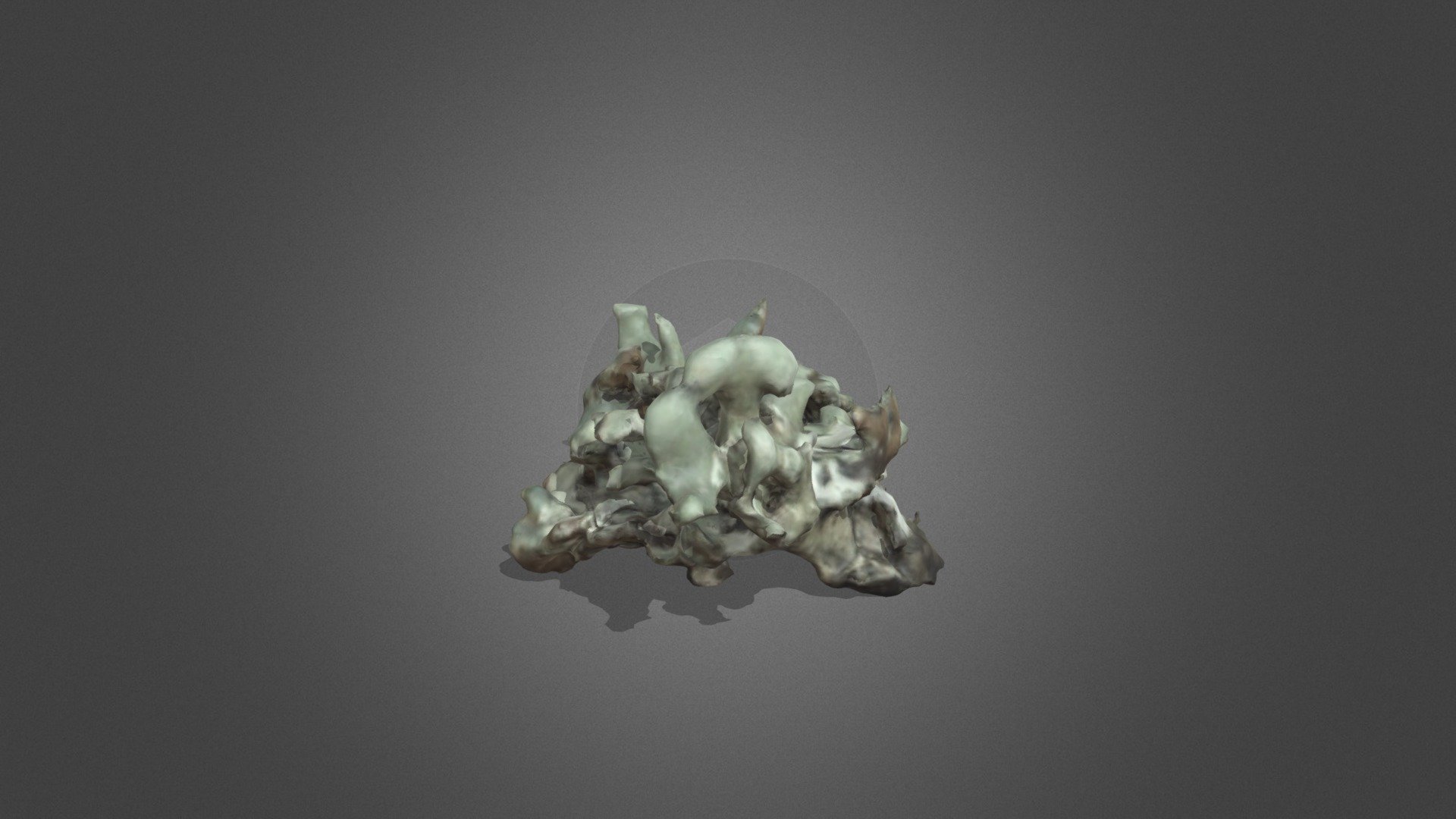 Lichen test-3