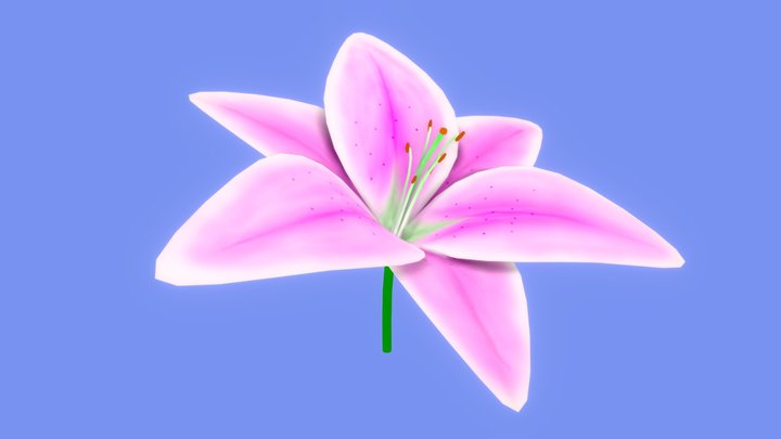 Pink Lily 3D Model