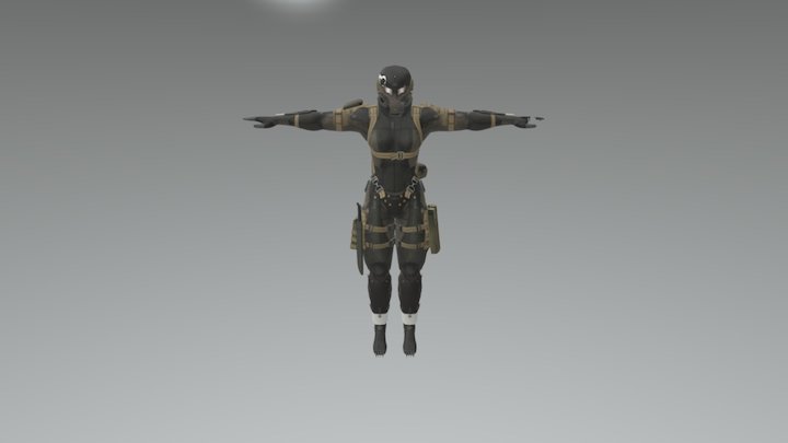 Csgo Mgs4 Frogs 3D Model