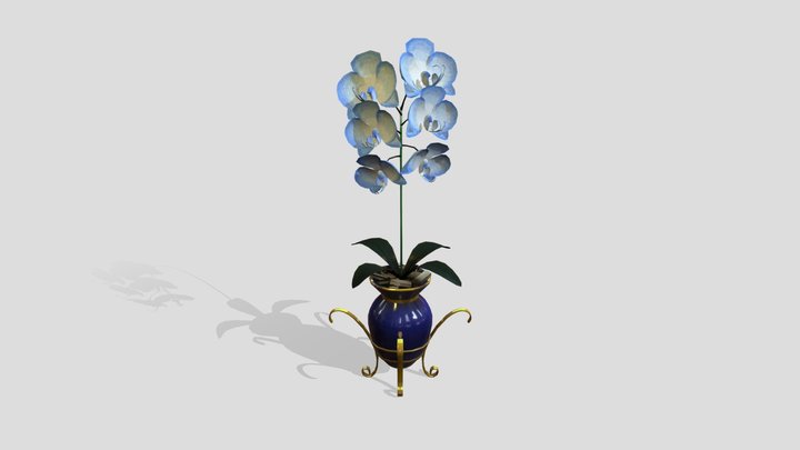 Iceblue Orchid 3D Model