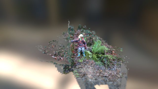 Forest Ferns 3D Model