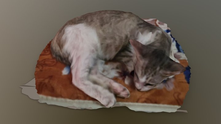Lola 3D Model