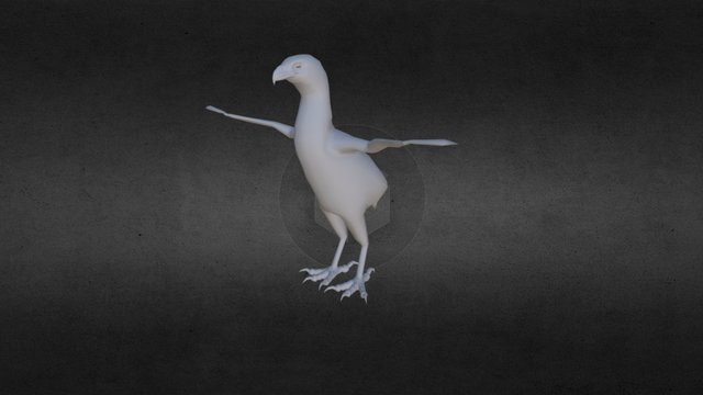 Eagle-adult 3D Base Model 3D Model