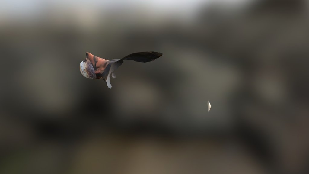 Javi