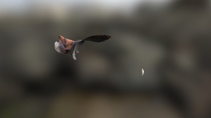 Javi 3D Model