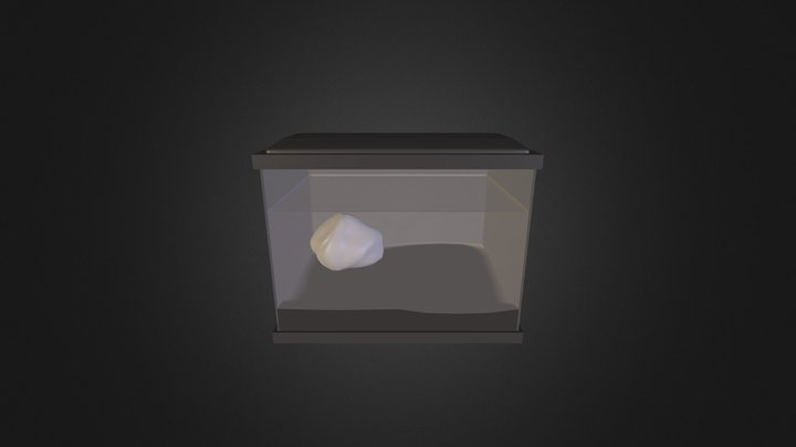 Aquarium 3D Model