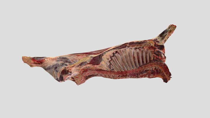 Beef Half – Rinderhälfte – 3D Scan 3D Model