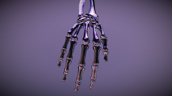 Human Hand Skeleton 3D Model