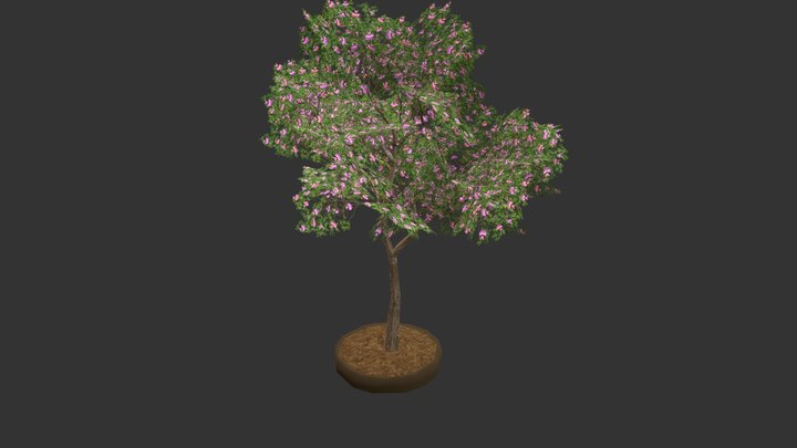 Arbol Chaperno 3D Model
